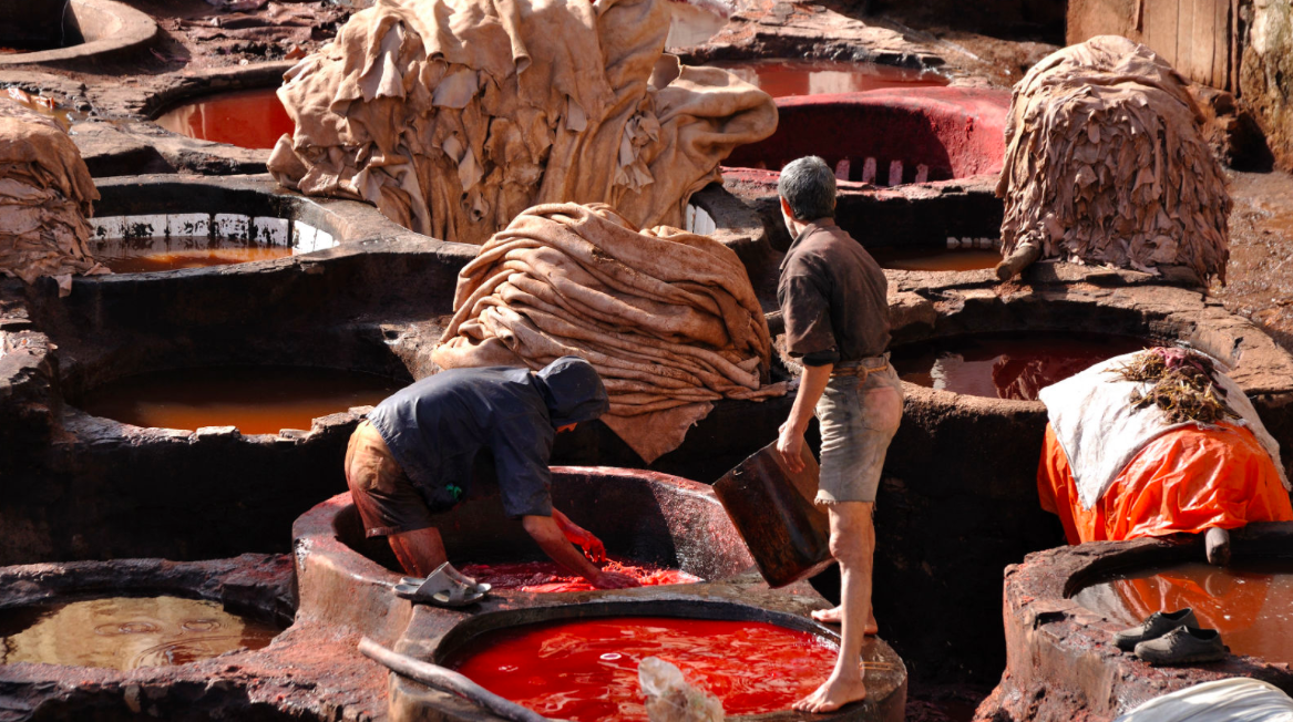 quy trình thuộc da